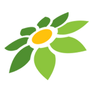 ISI SALDO TOKOPEDIA